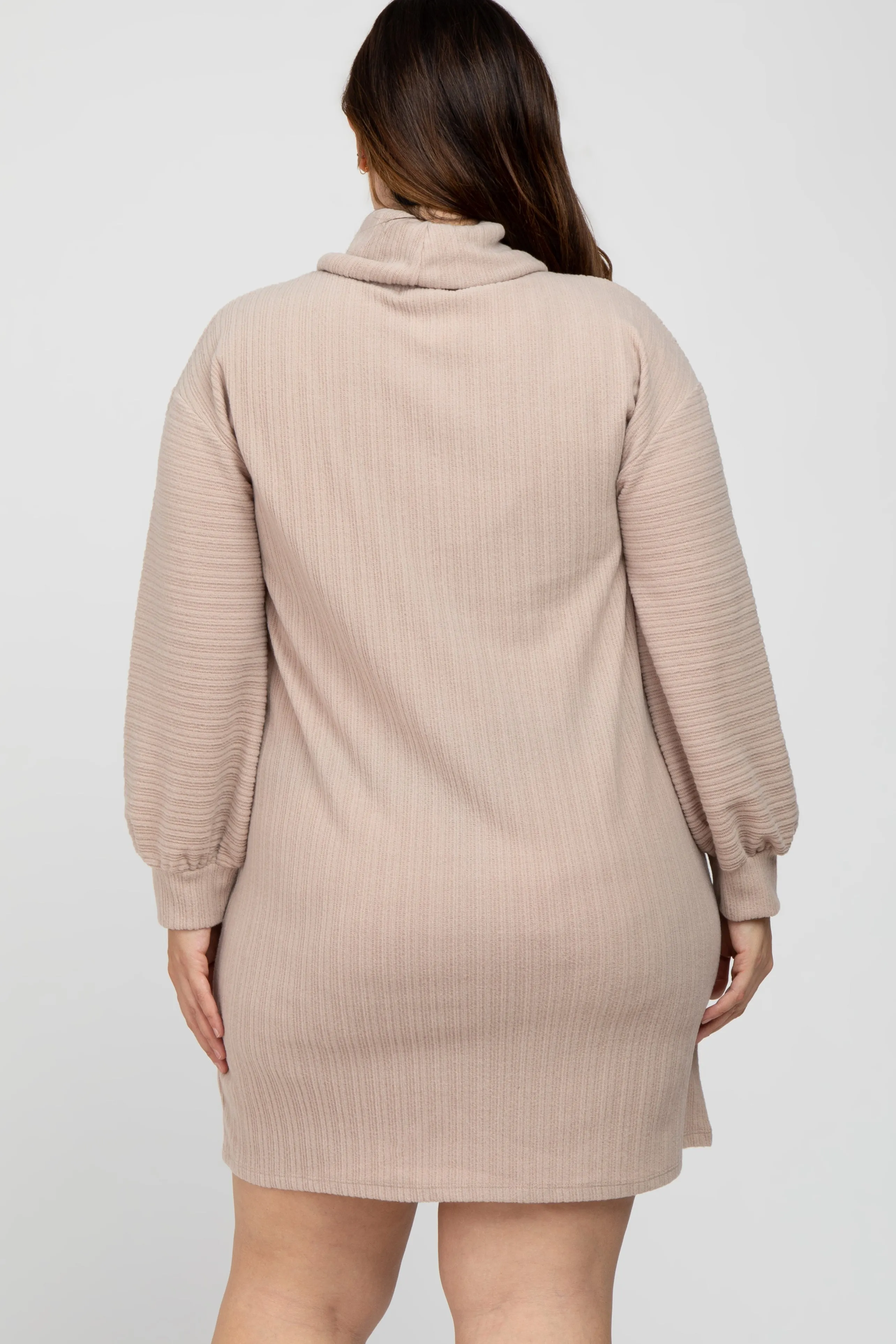 Beige Brushed Rib Turtleneck Plus Dress