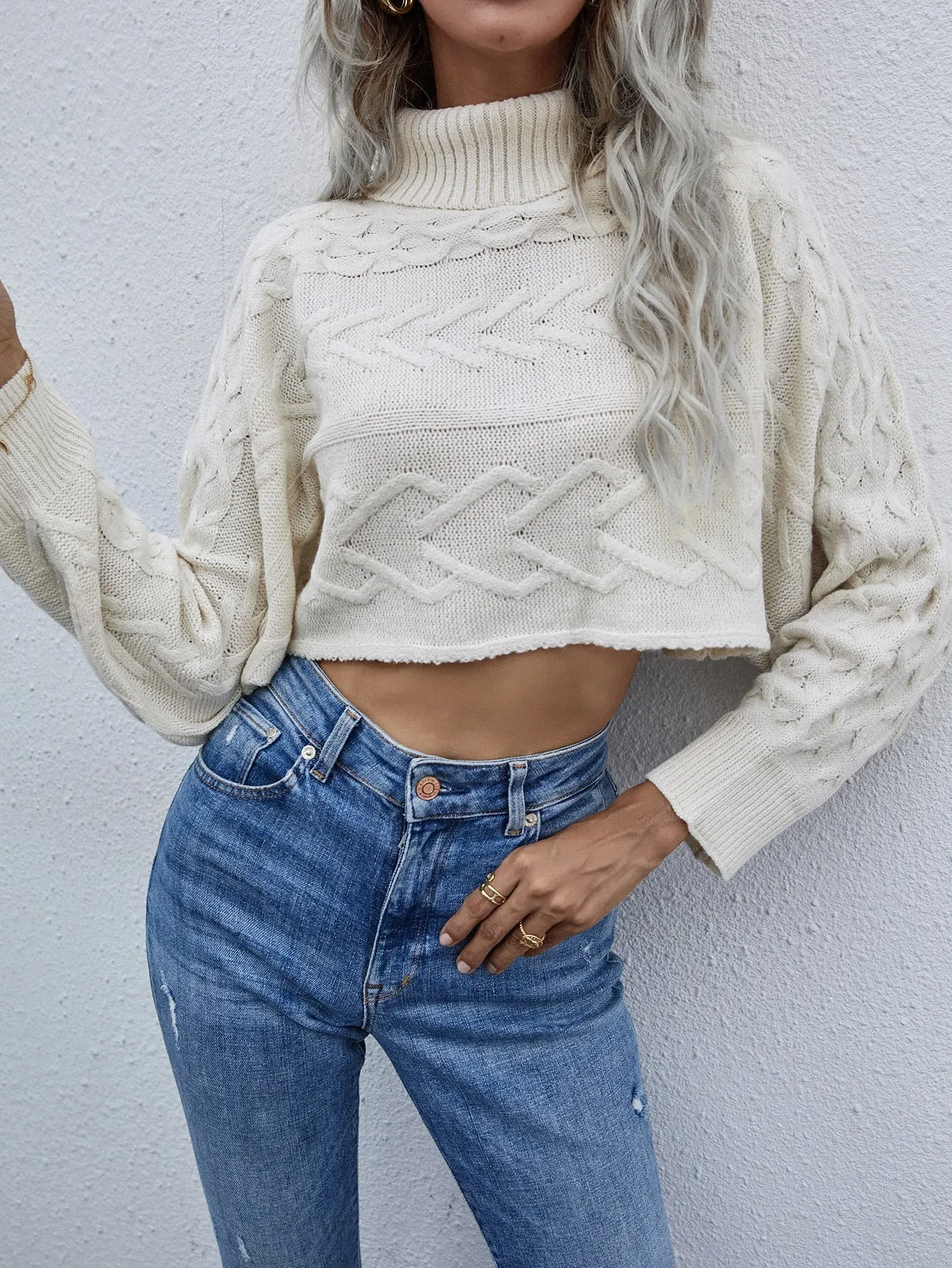 Casual Plain Long Sleeve High Neck Crop Women Sweater