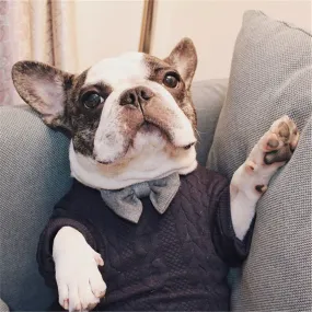 Dapper Dog Knit Bow Tie Sweater