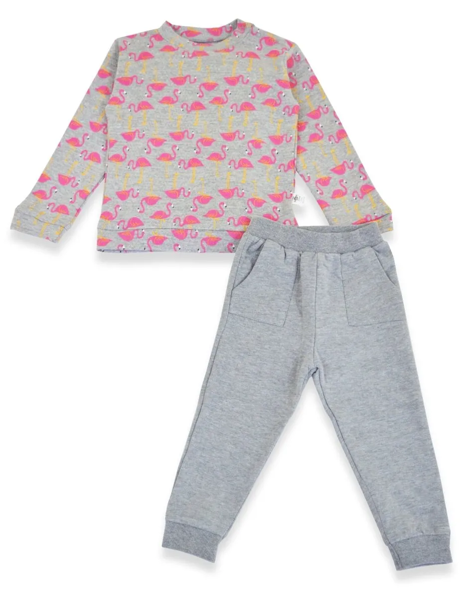 Flamingo Dance Sweatshirt and Grey Sweatpants Combo