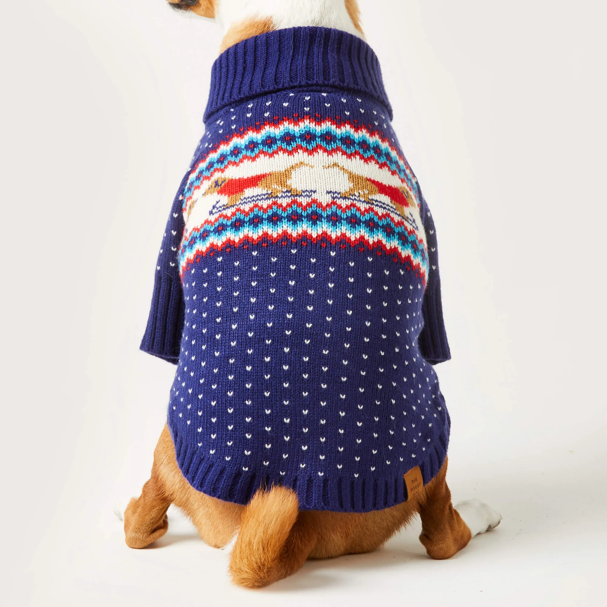 Gray Malin x TFD Hit the Slopes Dog Sweater