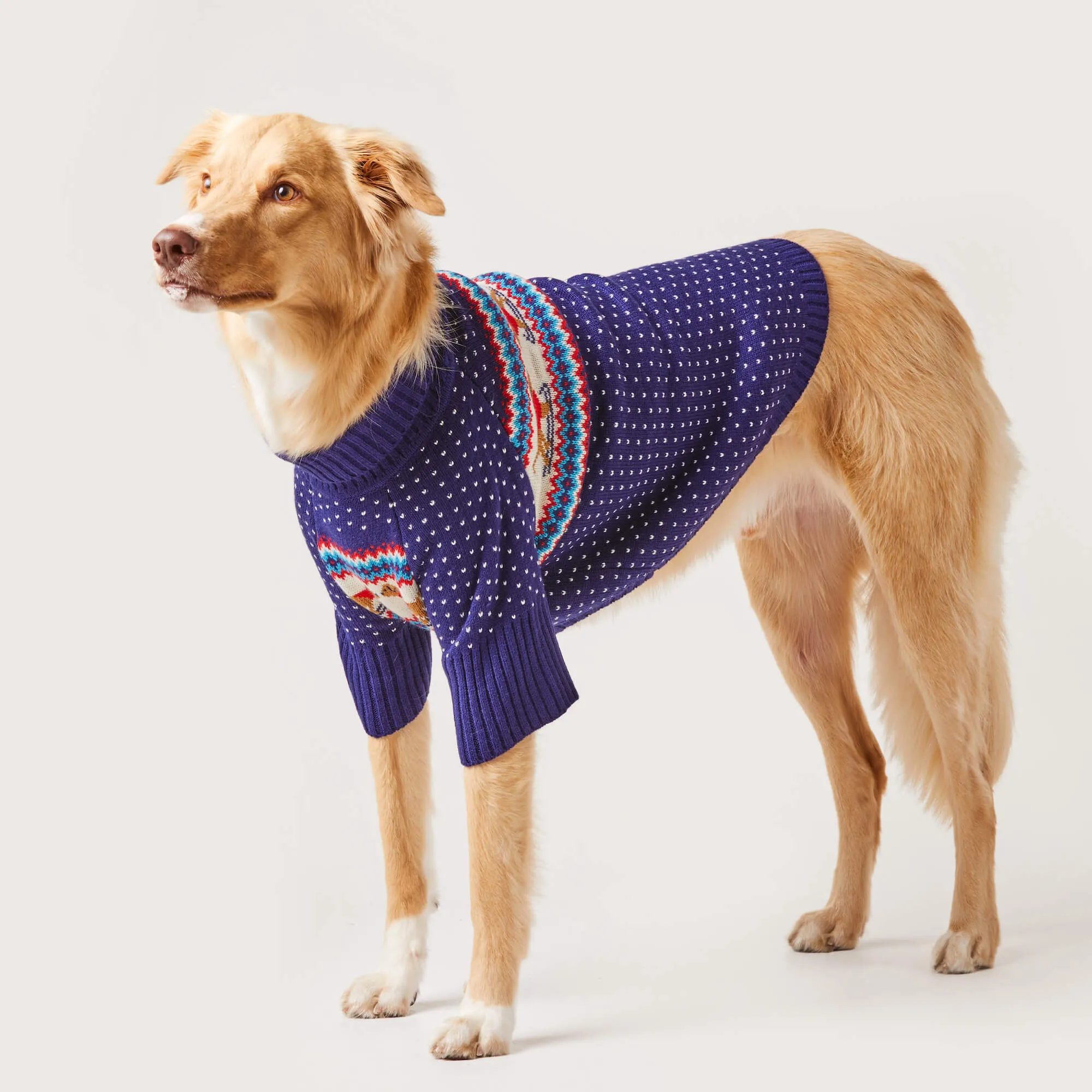 Gray Malin x TFD Hit the Slopes Dog Sweater