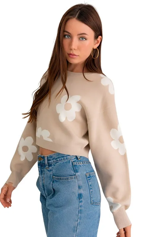 Long Sleeve Crop Sweater with Daisy Pattern