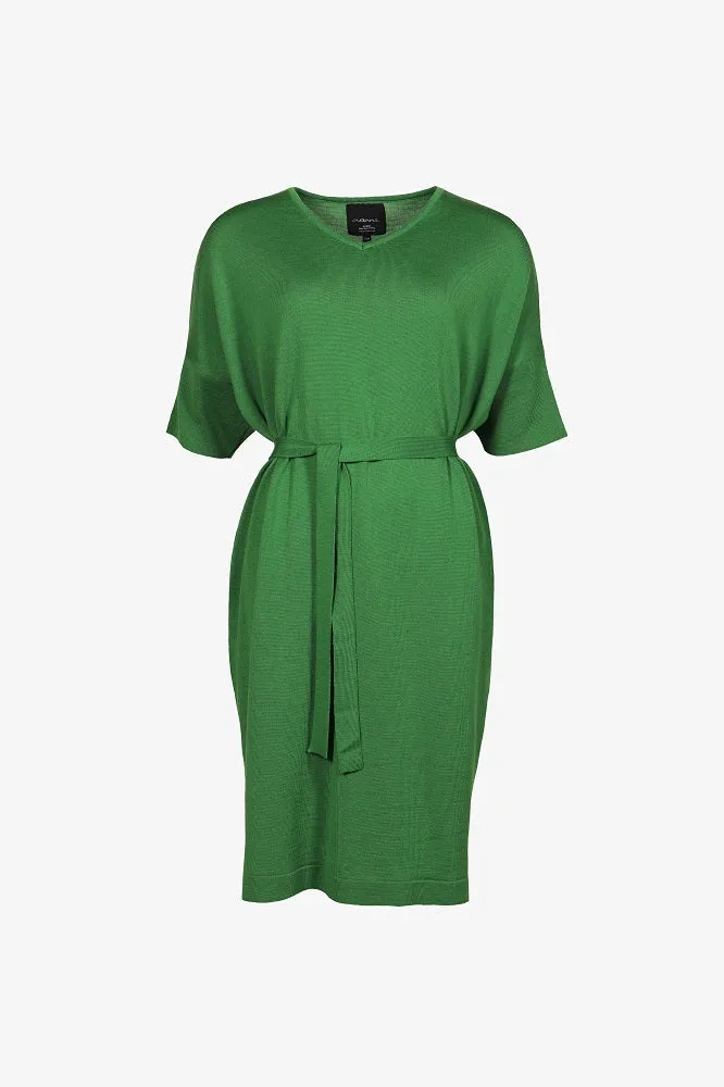 Love Merino Dress Green