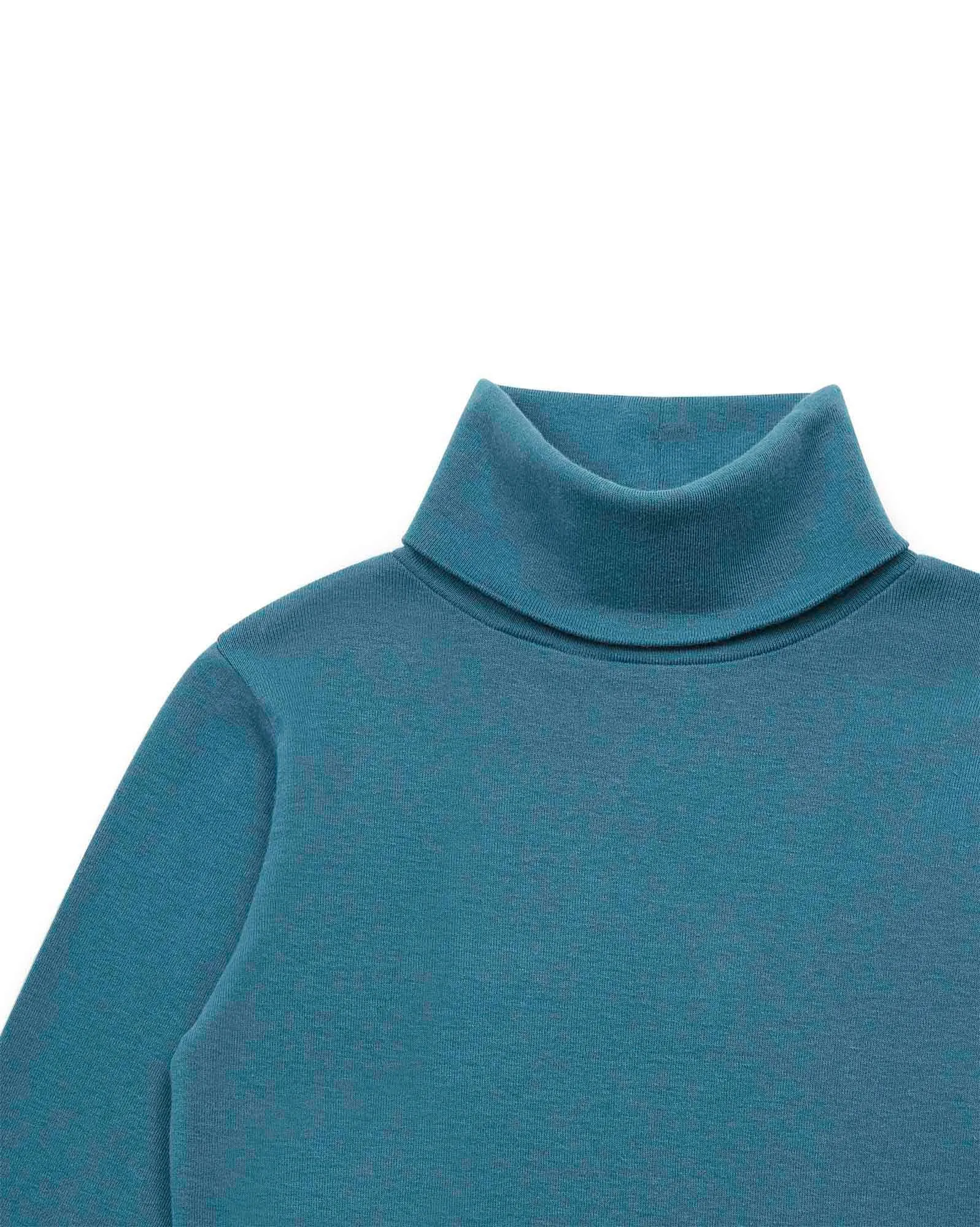 Organic Cotton Ribbed Turtle Neck in Bleu Curieux