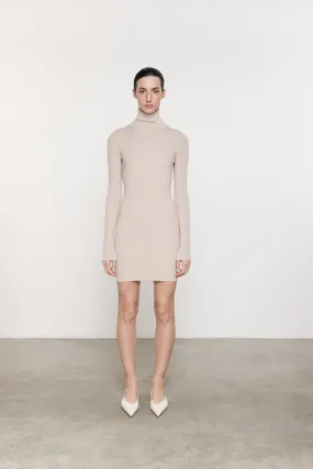 Silk Sweater Rib Turtleneck Mini Dress