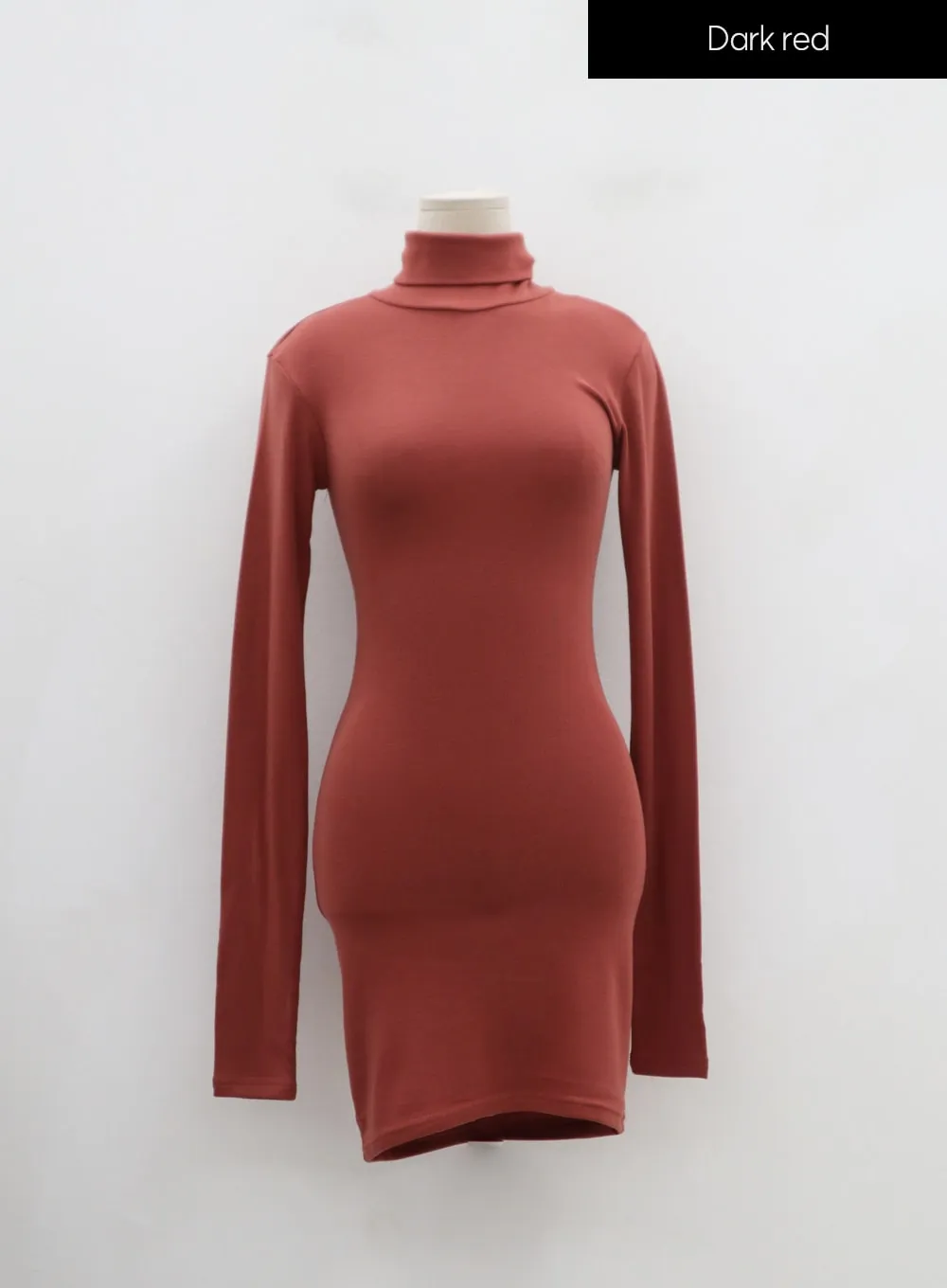 Turtleneck Mini Dress IN24