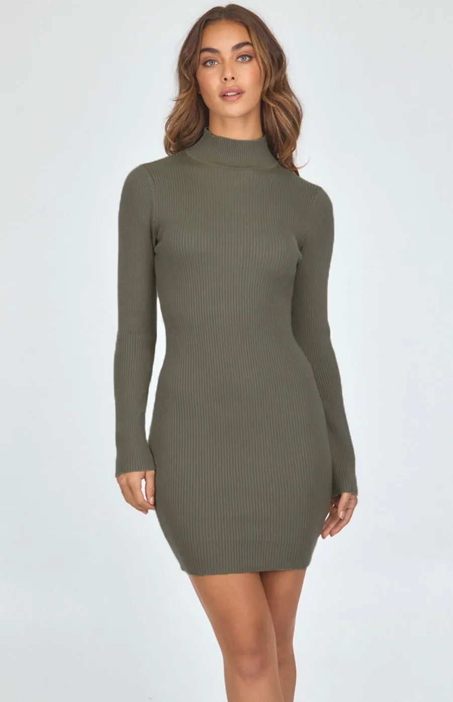 Turtleneck Ribbed Knit Dress