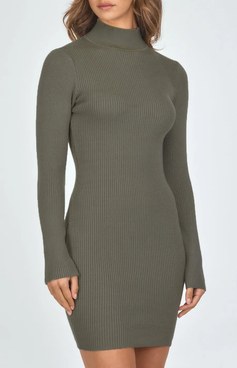 Turtleneck Ribbed Knit Dress